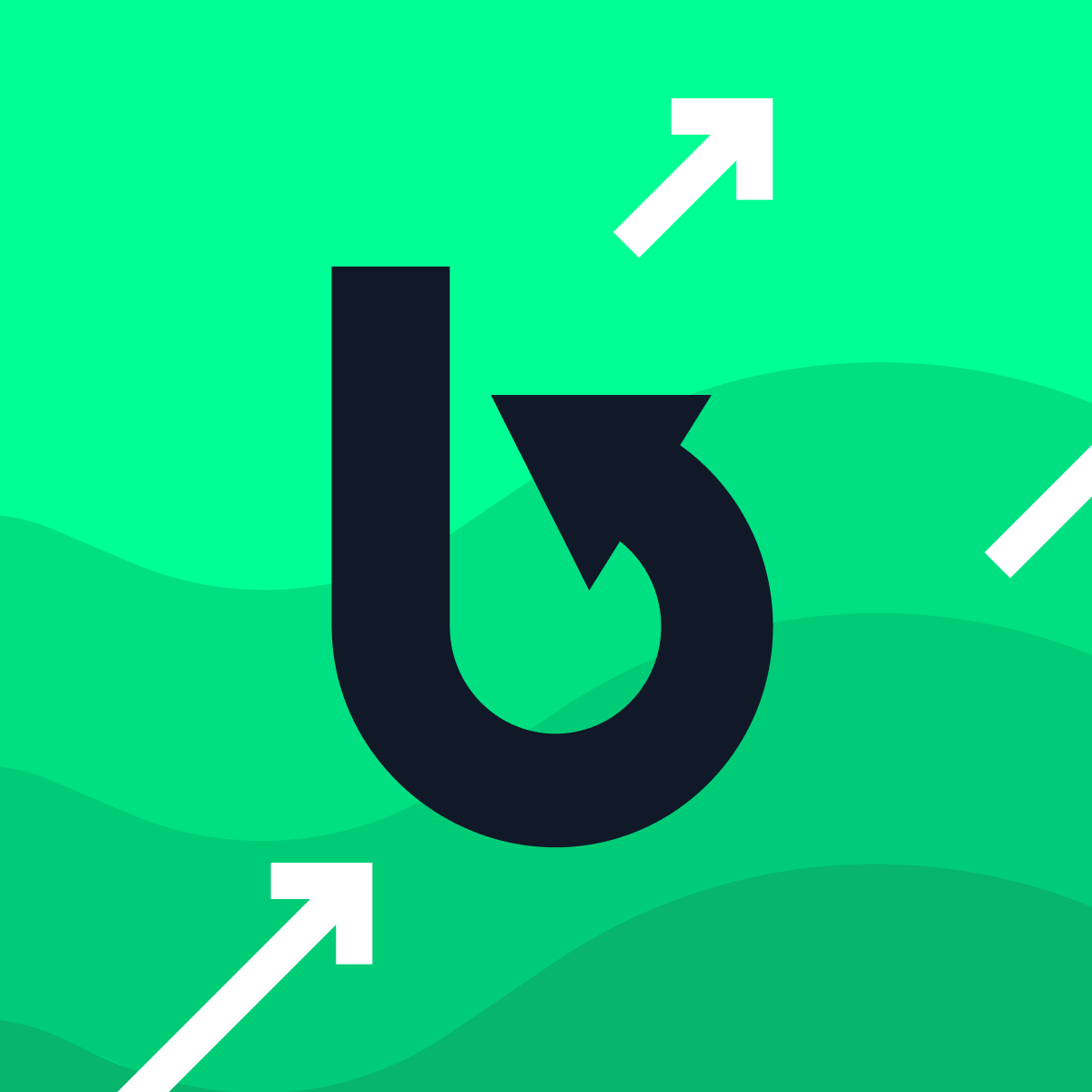 Amp Back in Stock | PreOrder