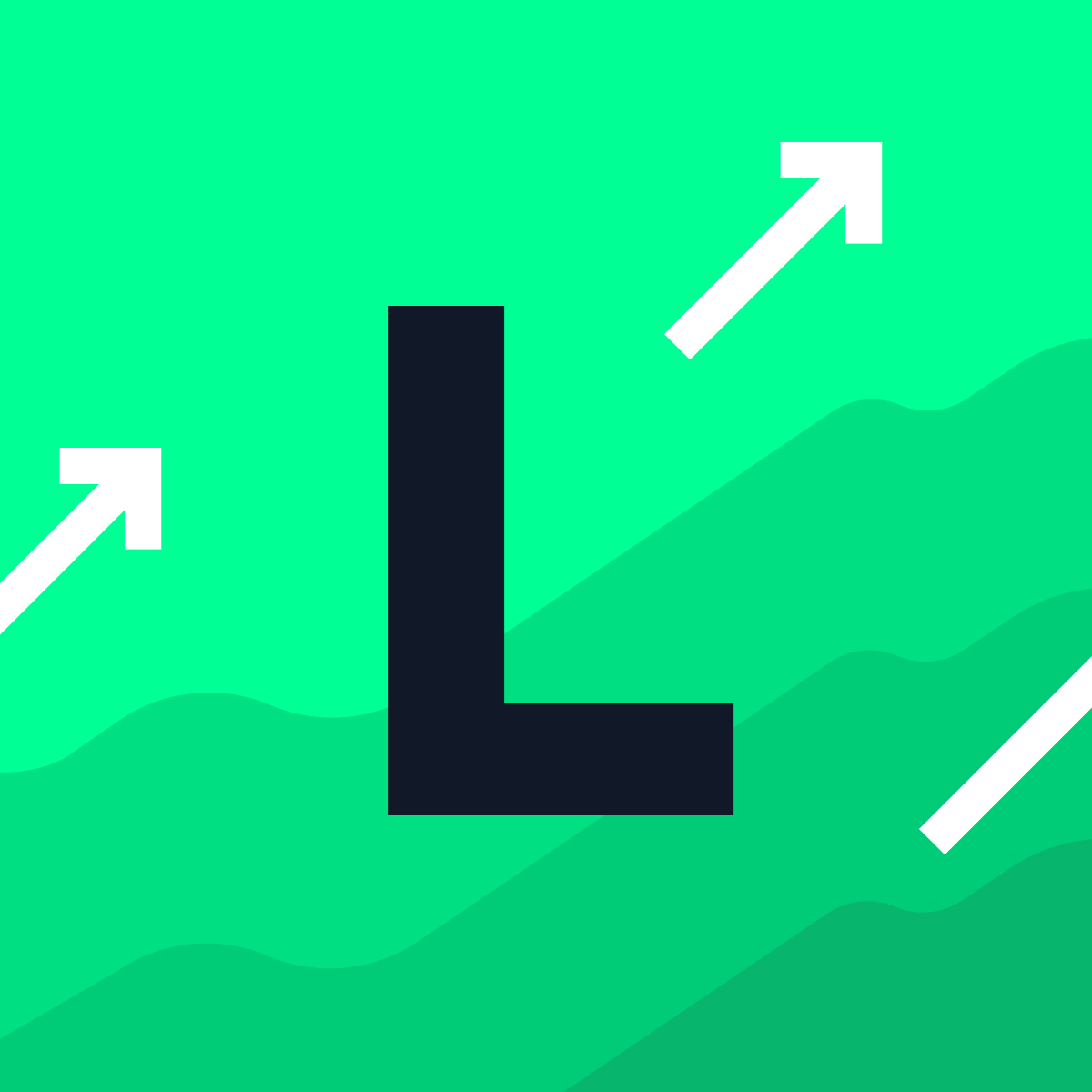 Lifetimely Profit Analytics