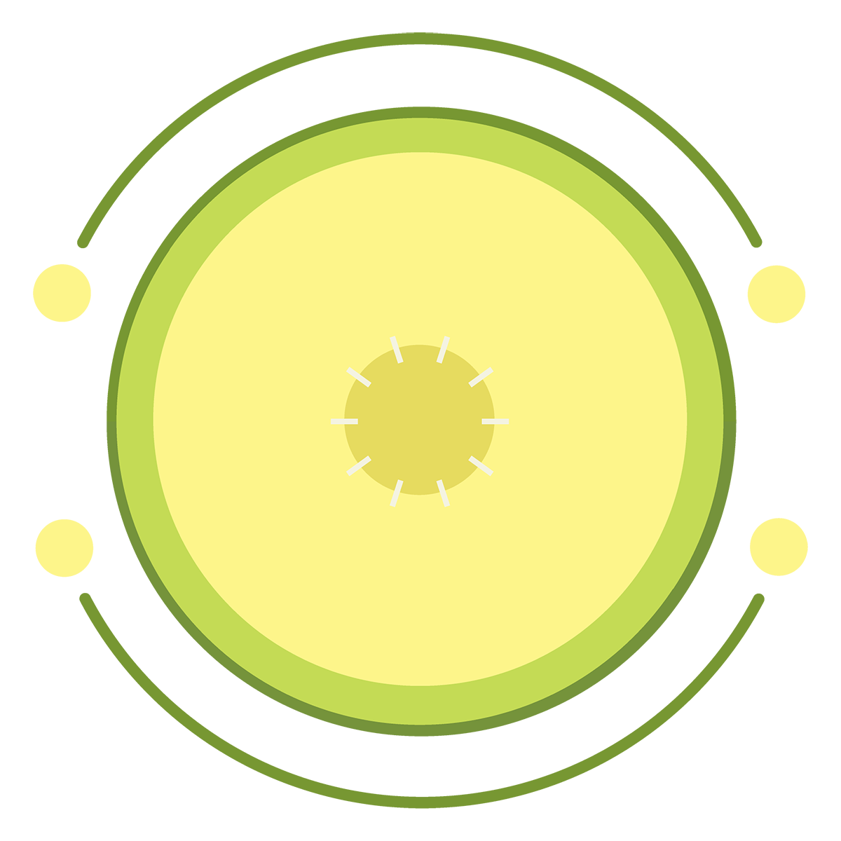 Print Melon ‑ Print on Demand