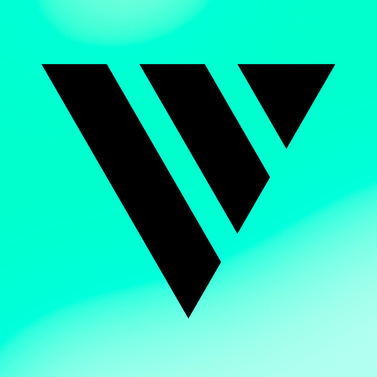 Videowise Shoppable Videos UGC